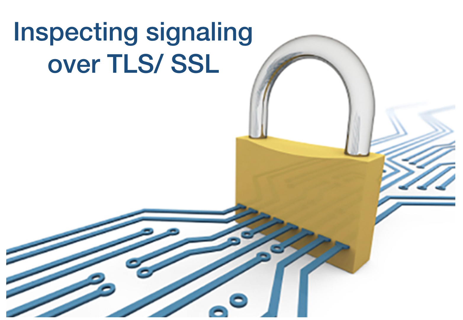 Inspecting signaling over TLS/ SSL