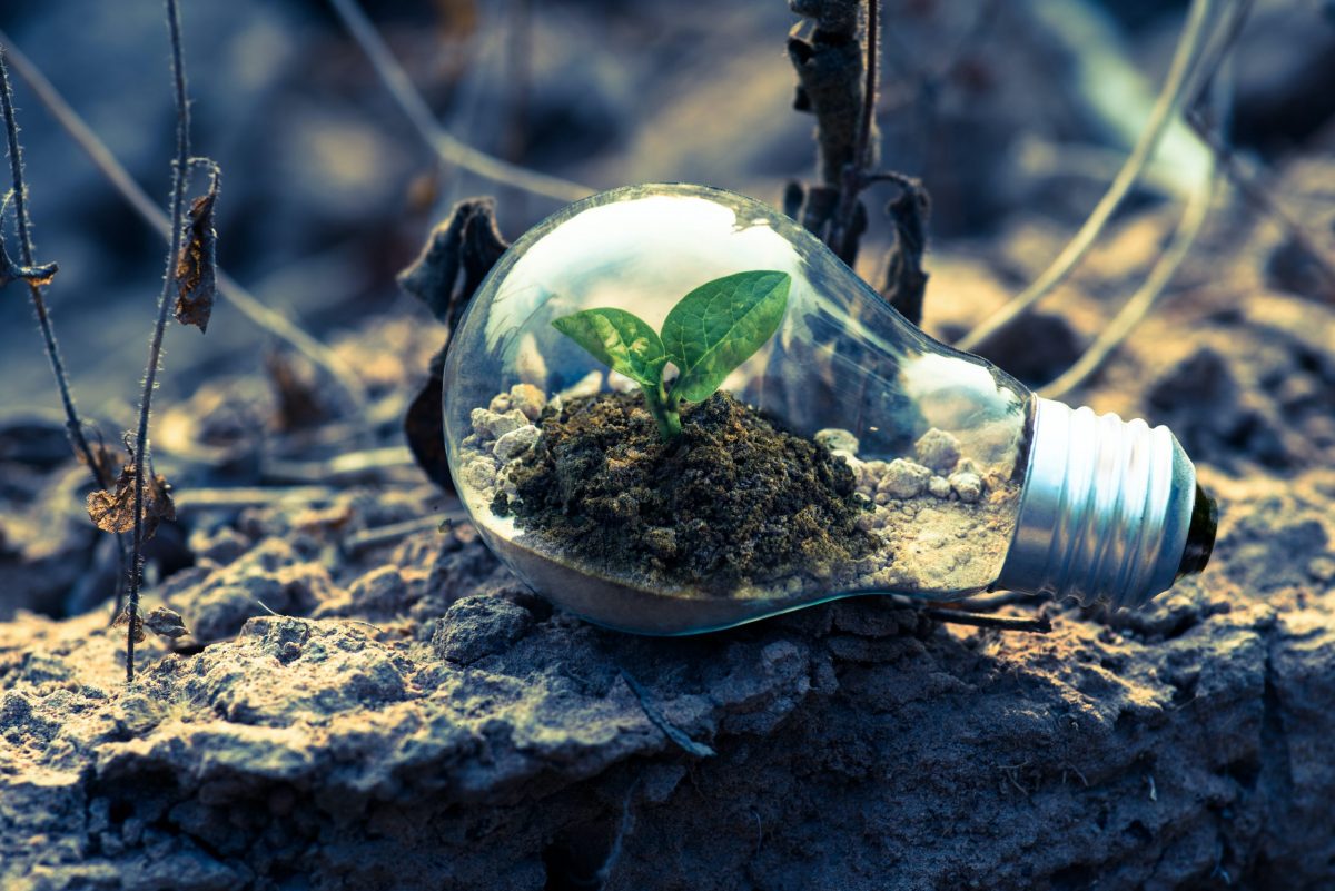 Going Greener and Working Smarter: What Smart Work Can Do for Planet Earth