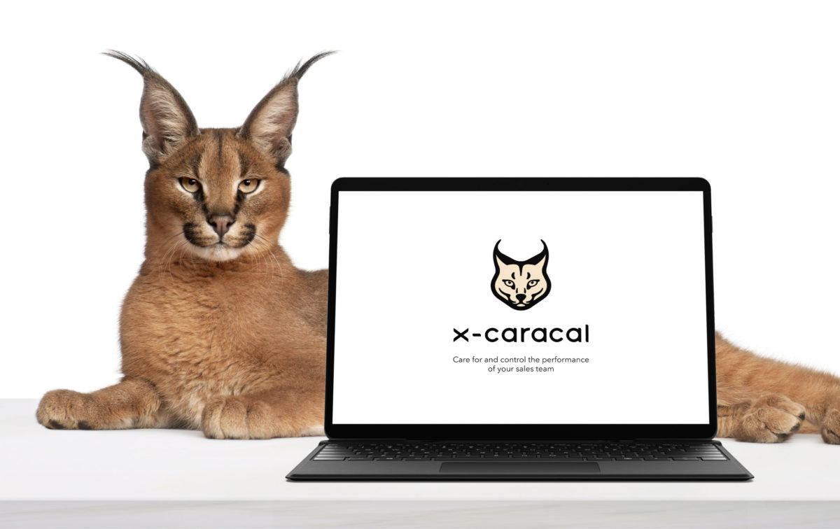Improve Your Customer Journey and Contact Center Operations with x-caracal